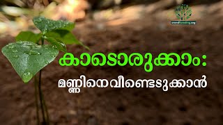 കാടൊരുക്കാം: മണ്ണിനെ വീണ്ടെടുക്കാൻ