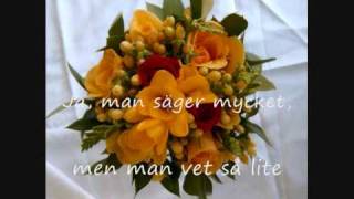 Björn Afzelius: Tusen Bitar -  Text & Musik: Anne Linnet