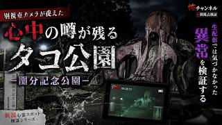 【別視点】生配信では気づかなかった映像｜新潟・関分記念公園（タコ公園）【心霊検証】