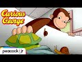 George Loves Turtles CURIOUS GEORGE