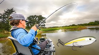 These Fish DESTROYED My Topwater In The Kayak! (Early Fall Fishing Tips)
