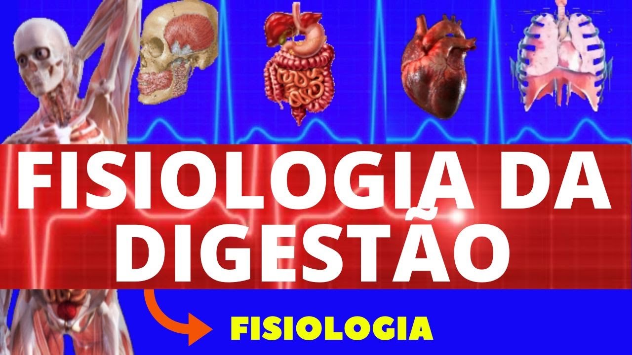 FISIOLOGIA DIGESTIVA (FISIOLOGIA DE GUYTON) - SISTEMA DIGESTÓRIO - FISIOLOGIA HUMANA