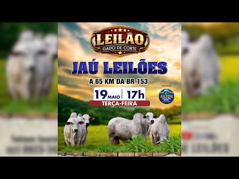 LEILÃO GADO DE CORTE  - JAU LEILÕES  - JAU DO TOCANTINS  -19 / 05 / 2026