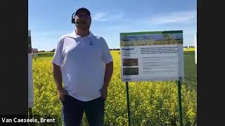 Top 4 Reasons to Use Prospect™ Pre-Seed Herbicide