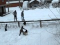 The Children In The Snow