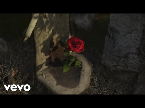 Pyrex, Ernia - ODIO STARE DA SOLO (Visual)