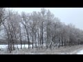 7 декабря просто зима 