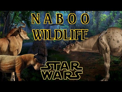 Naboo wildlife