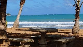 preview picture of video 'Beach Front Condo Sale Rio Grande Puerto Rico Apartamento Playa'