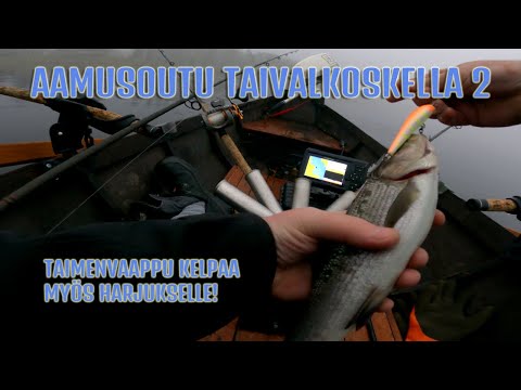 Taivalkosken aamusoutu 2