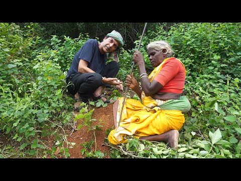 Adivasi Women Train Youth on Forest Foods in India