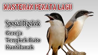 Download lagu Masteran Cendet 1 Jam Spesial NGEKEK mp3
