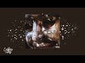 Timeless The Weeknd Playboi Carti 1 Hour Lyrics In Description