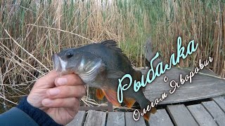 Ловля рыбы на мормышку летнюю