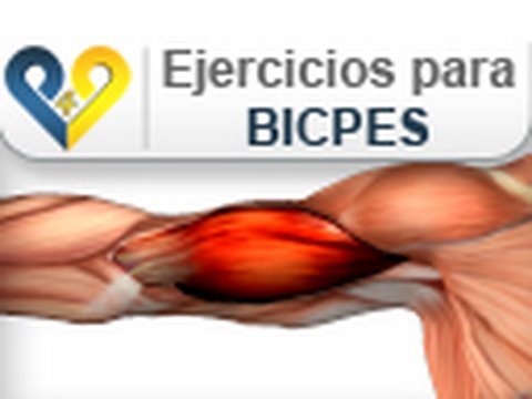 Ciclismo tiene pastillas para quemar grasa mas rapido Alimentos Poco Usados Cuerpo humano pastillas para quemar grasa mas rapido sustitucin permitir mantener