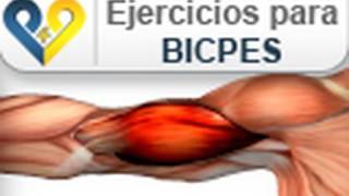 Ejercicios para biceps