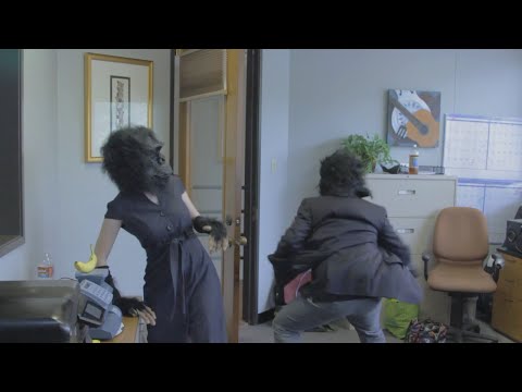 Bee vs. Moth - It Looked Good in the Showroom : Music Video