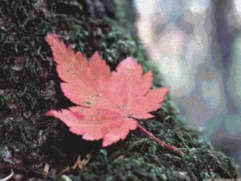 Claudio Baglioni - Un pò di più