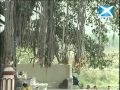 Yatra Deepti Bhatnagar Visits The Holy City Haridwar