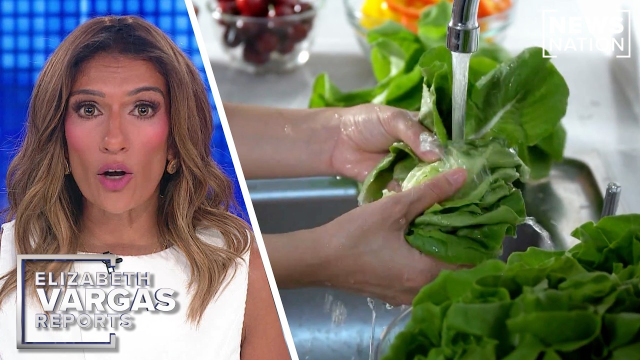 Video: Taylor Farms iceberg lettuce from Mexico tied to Cyclospora cluster at Taco Bell