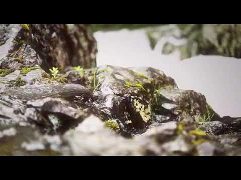 FRUTIFICAR  :Noêmia Martins