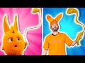 Sunny Bunnies - Music For All | Golden Golf Club | Hilarious Cartoon Compilation | Woa Parody