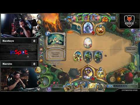 Intrepid Fox Lan Finals - Hawkeye vs Marzito [Semifinals]