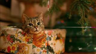 Amy Grant - Rockin&#39; Around The Christmas Tree