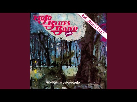 Soundborn Boogie (Live)