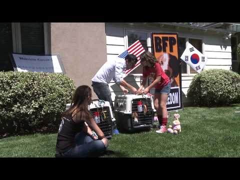 It is heart wrenching to imagine animals spending their entire lives in small cages and whose sole purpose is to be used for experiments. Beagles in this case...