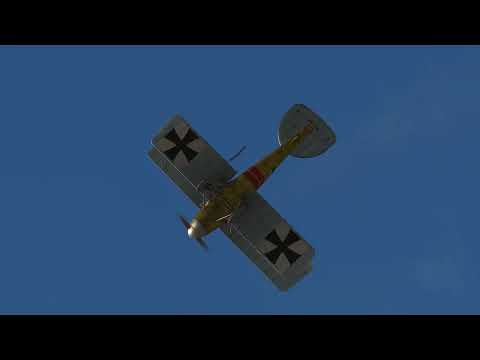 Albatros DII Lone Patrol Rise of Flight