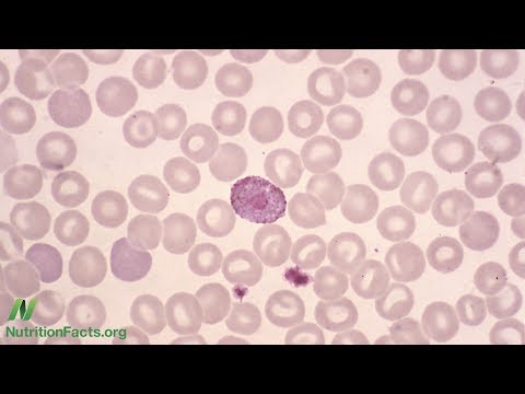 What Does a Low White Blood Cell Count Mean?