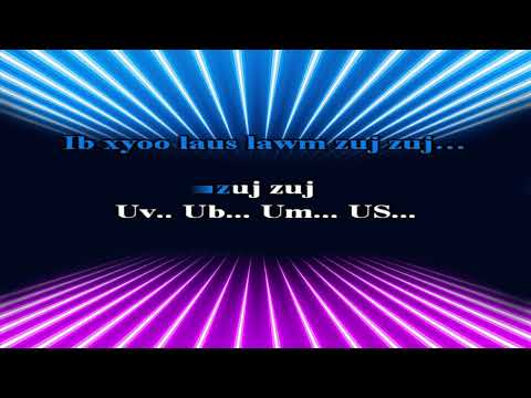 Ntxawm Lis - Koj Yuav Xaiv Tus Zoo Li Cas karaoke