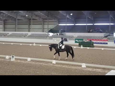 FEI Junior Individual Test April 30, 2022/Zugspitze