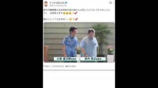 高市内閣閣僚＆自民党執行部の皆さんの色とりどりの『かりゆしウェア』、全部見せます