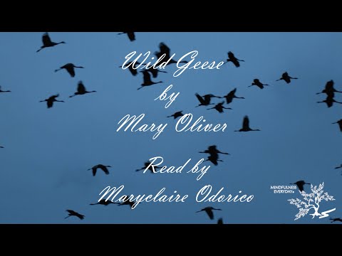 Wild Geese - Written by Mary Oliver - Read by Maryclaire Odorico