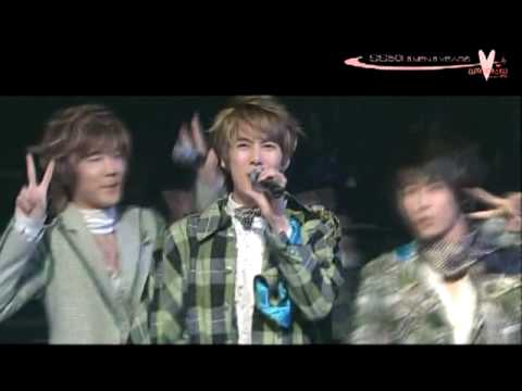 SS501 5-year Flashback - Live Mix - Snow Prince