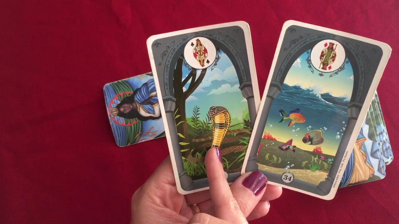 Combinação da Carta 7 A Serpente