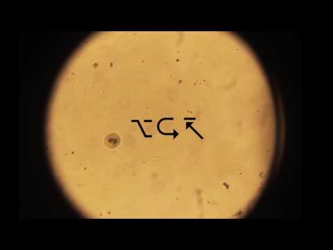 Cristhian Balcazar , Tex - Unidentified (Original Mix ) [Miami Underground Records]