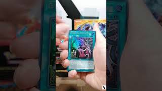 22.Adventskalendertürchen - 2xMega Evolution - 1xMegatin - 1xMonster Mayhem #kartenecke