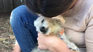 Doña Cebolla, Hope is Always Possible