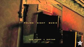 David Lynch & Marek Zebrowski - Night (A Landscape With Factory)