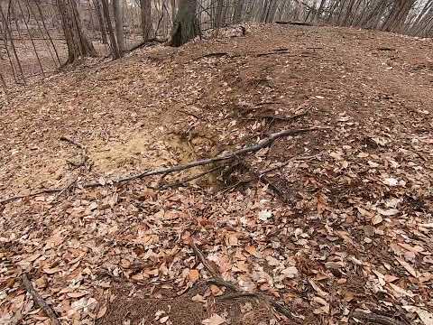 Hampton Ridge erosion