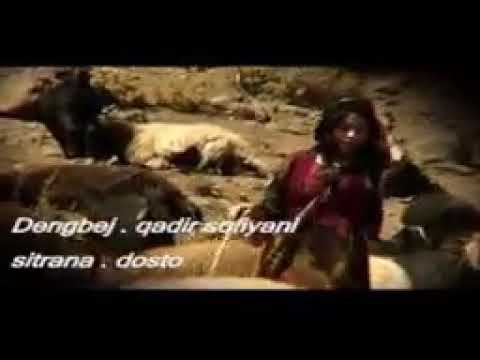 dengbej Qado sofiyani dosto