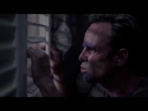 Vice Principals - Busted By Lee Russell