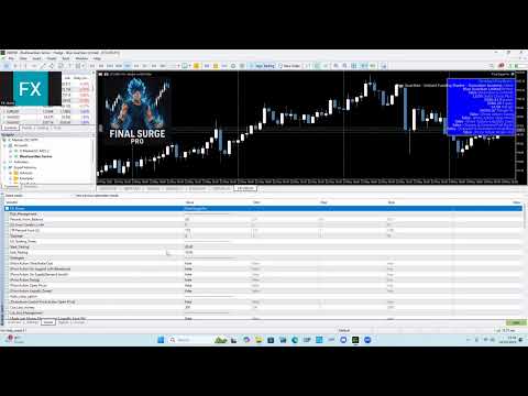Video Final Surge Pro