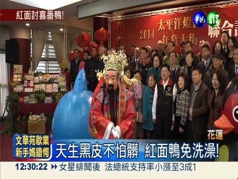 跟黃小鴨比美! 花蓮紅面鴨亮相