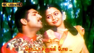 Download lagu Thotta Chinungi Pola song | ArunVijay, Suvalakshmi Hit song | deva | Swarnalatha Hit Songs |4k Ultra mp3