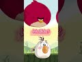 I M THE BIGGEST BIRD Terence Vs Main Flock Angrybirds Imthebiggestbird