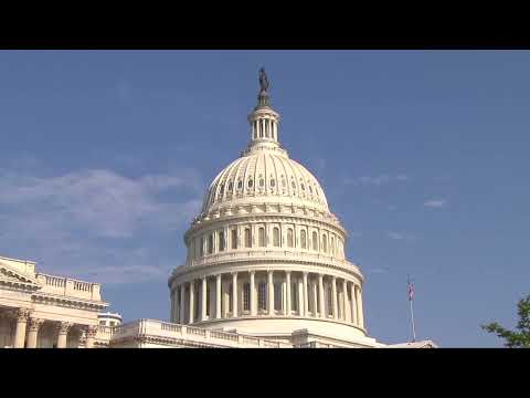 Asylum Seekers NYC Council to DC